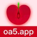 樱桃视频苹果版  v1.2