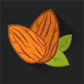 银杏视频app最新版官方  V1.0
