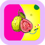 芭乐草莓丝瓜向日葵茄子鸭脖网站app  v1.2.1