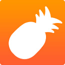 大菠萝导航app下载入口免费  v2.1