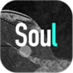 soul免费下载  V1.03
