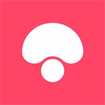 下载蘑菇街女装app  V15.3.1.23228