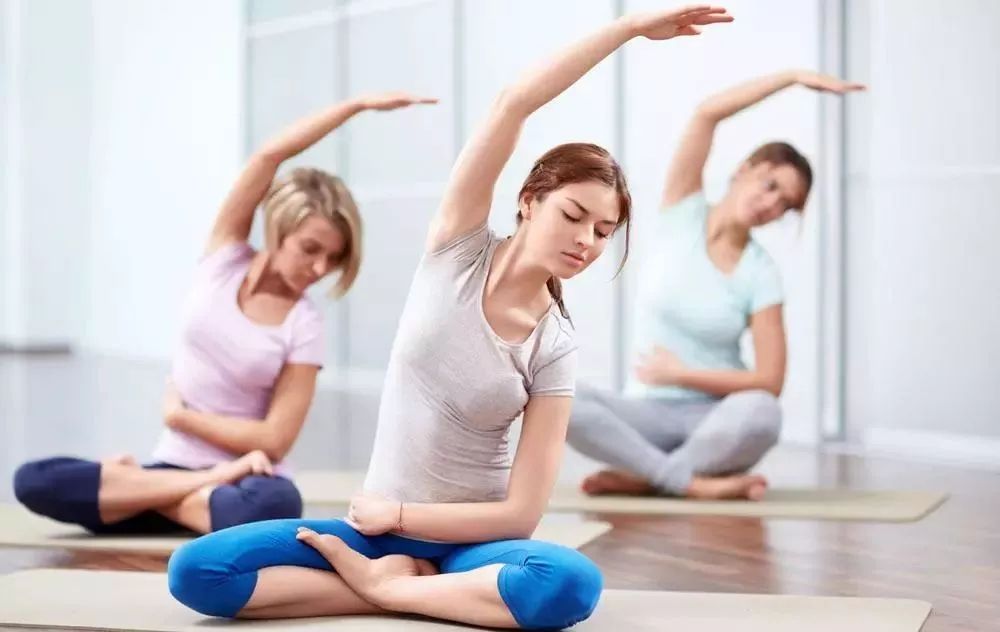 随心瑜大学免费版下载:一款专注于线上瑜伽训练的手机健康养生软件