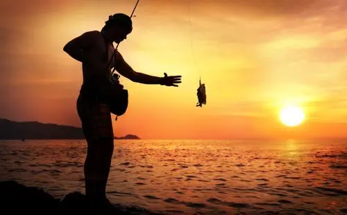 乐钓钓鱼app官方下载:快速学习钓鱼干货的生活服务软件