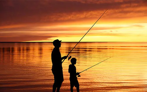 乐钓钓鱼手机版下载:轻松学习海量钓鱼干货的手机软件