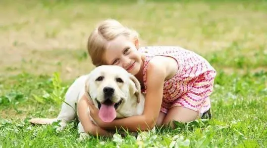 小狗在家宠物寄养手机版下载:让宠物都有临时寄养保障的生活服务软件