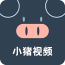 小猪视频app无限观看iOS   v1.0