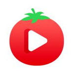 番茄视频app免费观看