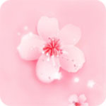 樱花草免费视频在线观看www  v2022