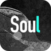 soul最新官方版  V1.021