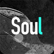 Soul软件最新版本  V1.021