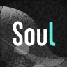 soul官方下载  V4.46.0