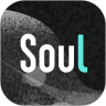 Soul安卓版下载  V3.91.0